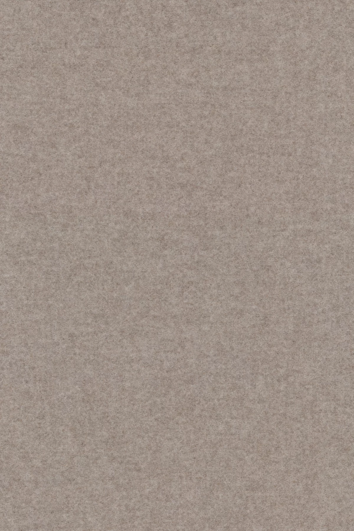 Divina melange 3, 227